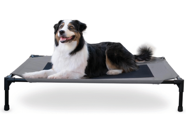 K&H Pet Products Erhöhtes Hundebett für den Außenbereich, atmungsaktives, kühlendes erhöhtes Bett, Hängematte, Haustierbett für große